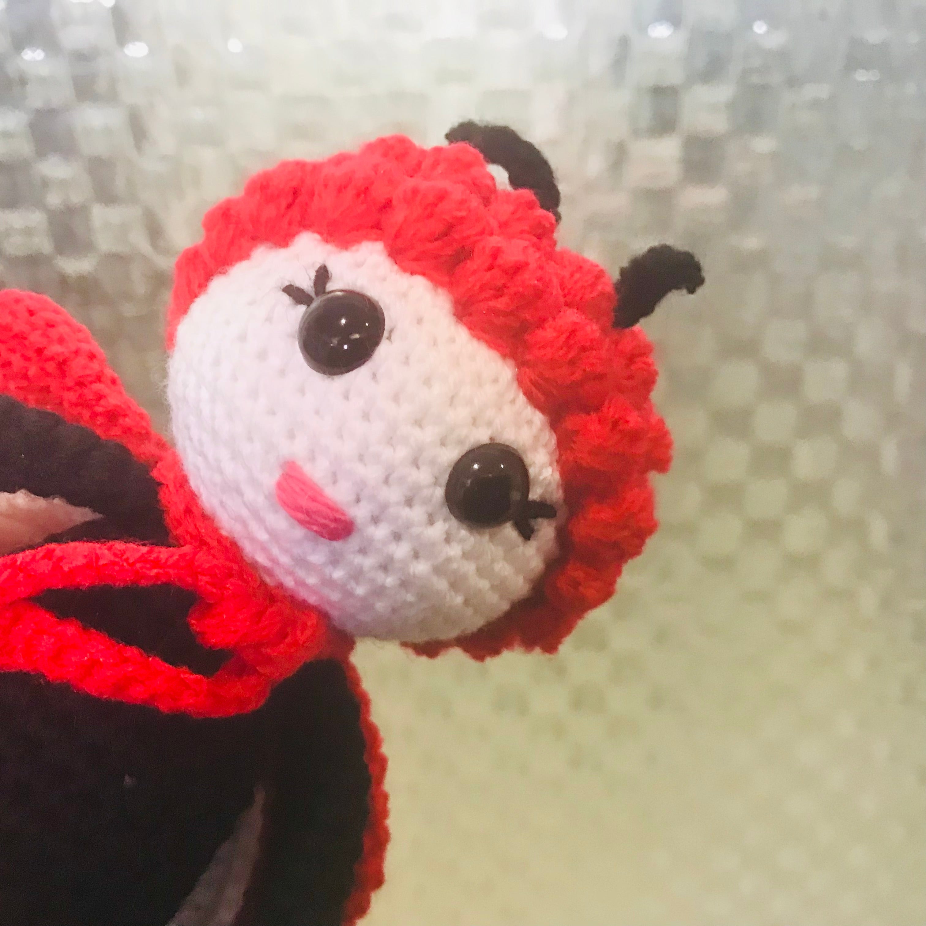 Lady Bird Crochet Toy