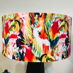Rainbow Bright Birds Dark Wicker Table Lamp