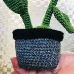 Arigurami Crochet Potted Flower