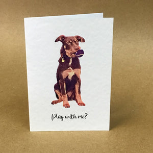 Australian Kelpie Greeting Card Collection