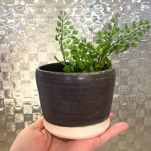 Ceramic Handthrown Planters (small)