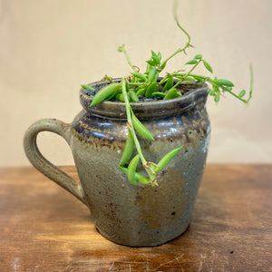 Planted OOAK Tea Pots & Jugs