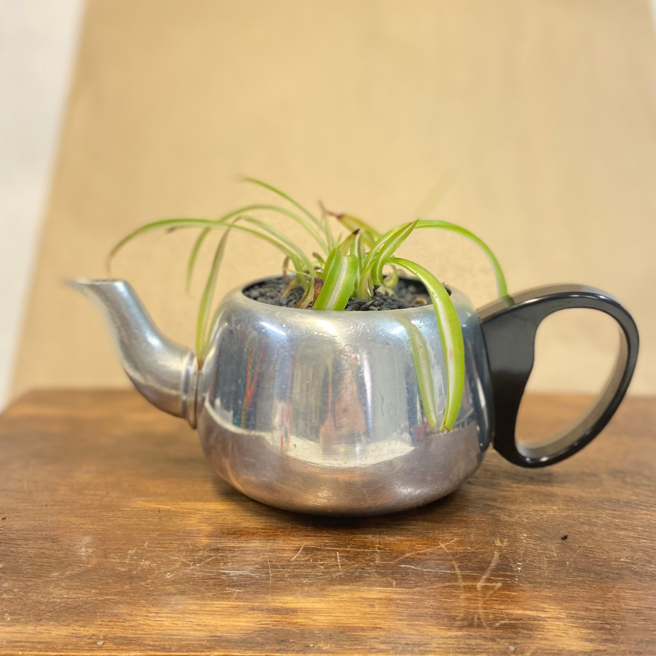 Planted OOAK Tea Pots & Jugs